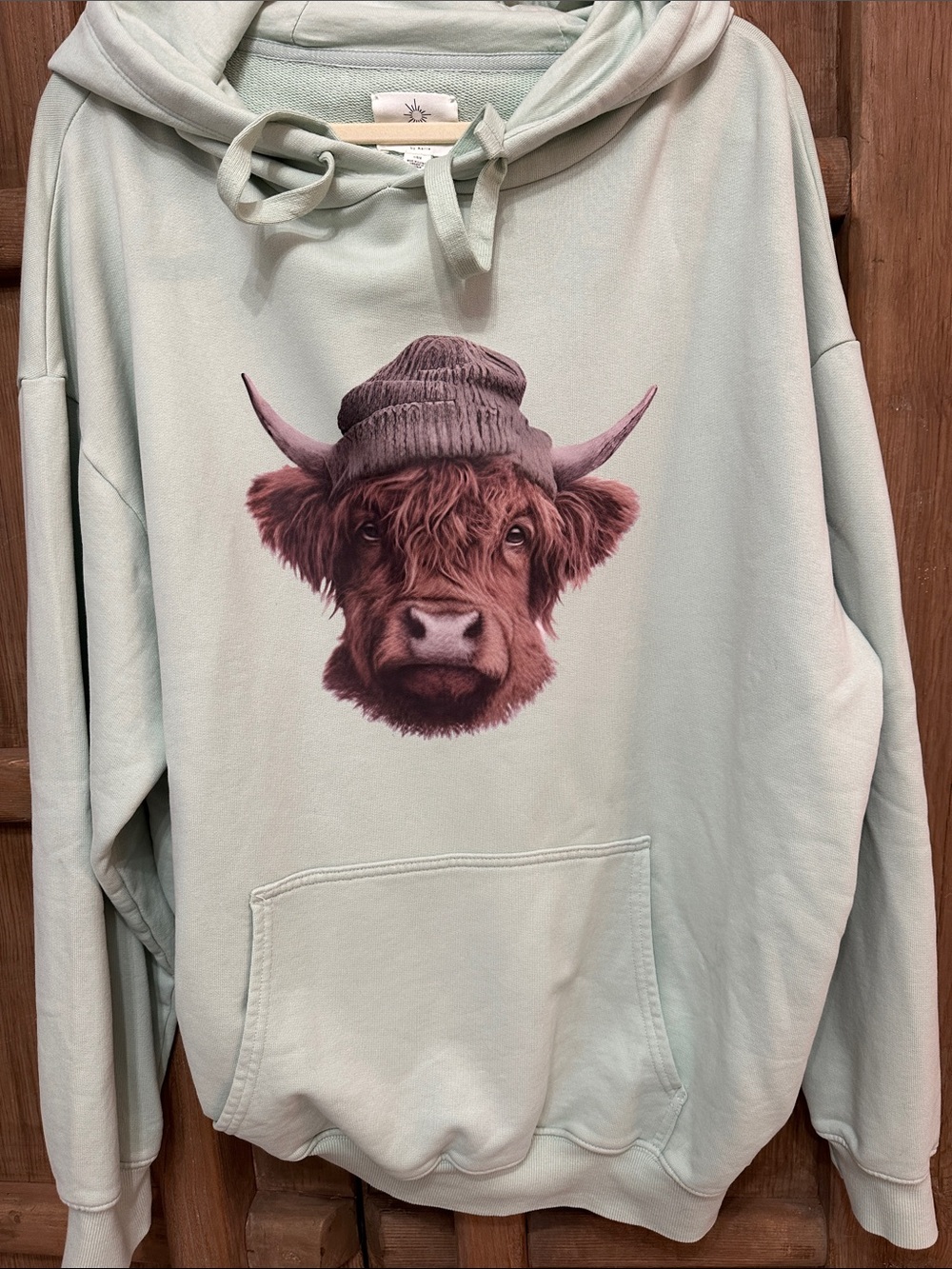 Light Mint Graphic Hoodie Sweater with Highland Cow Print